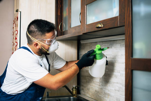 Best Emergency Pest Control  in Grant, NE