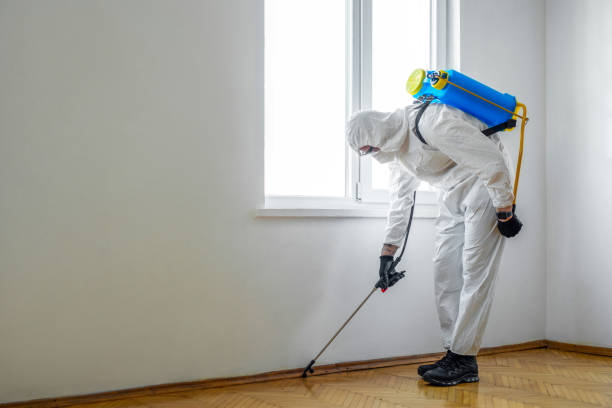 Best Affordable Pest Control Services  in Grant, NE