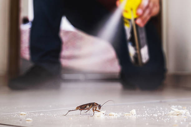 Best Pest Control Cost  in Grant, NE